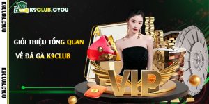 Giới-thiệu-tổng-quan-về-Đá-gà-K9club