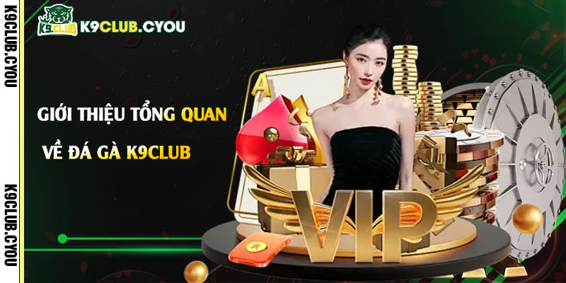 Giới-thiệu-tổng-quan-về-Đá-gà-K9club