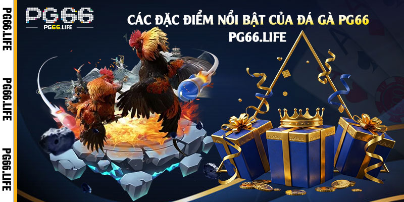 Các-đặc-điểm-nổi-bật-của-Đá-Gà-Pg66