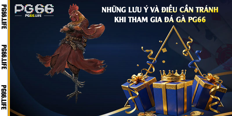 Những-lưu-ý-và-điều-cần-tránh-khi-tham-gia-Đá-Gà-Pg66